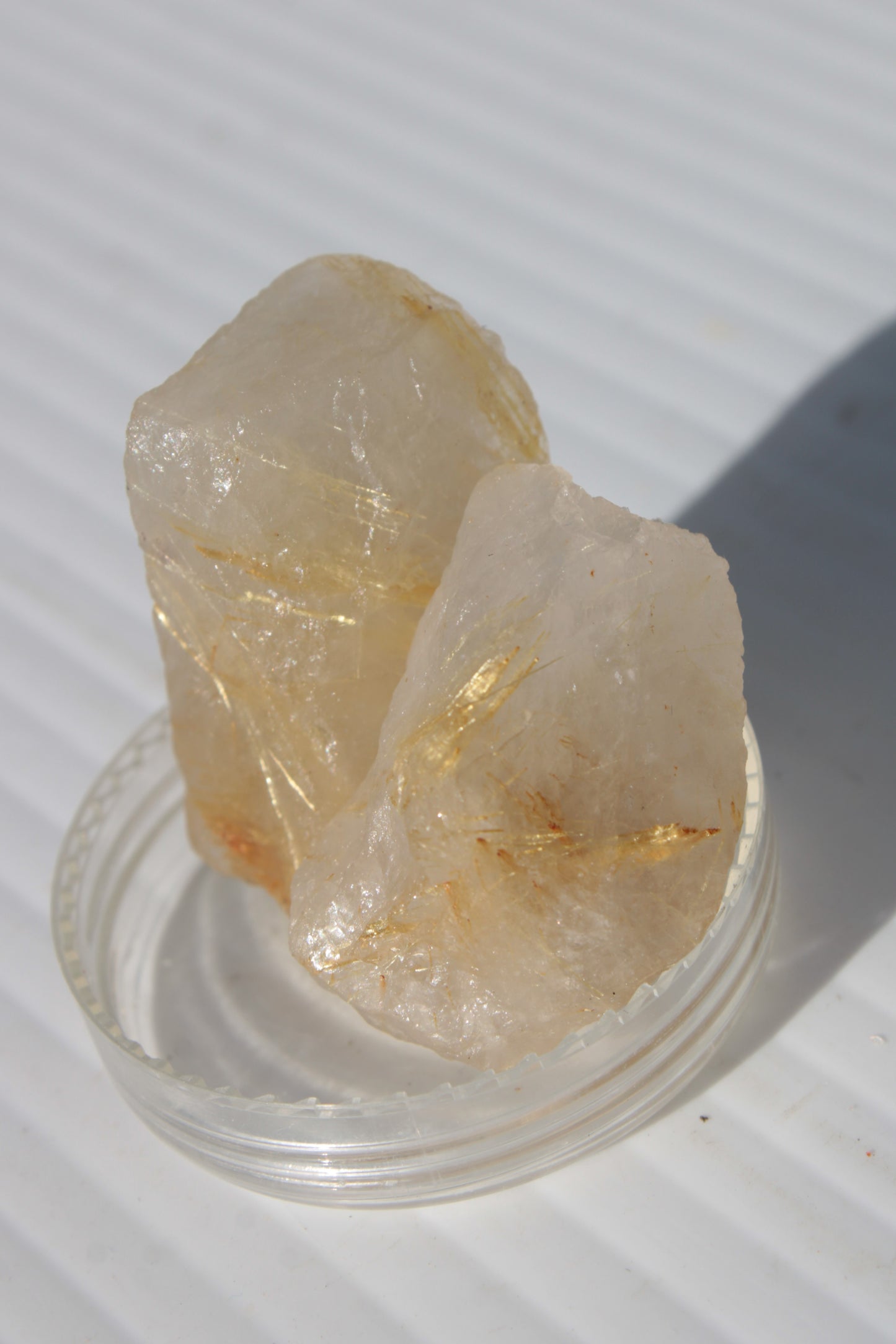 Golden Hair Rutile Quartz 2 crystals 24-30g Rocks and Things