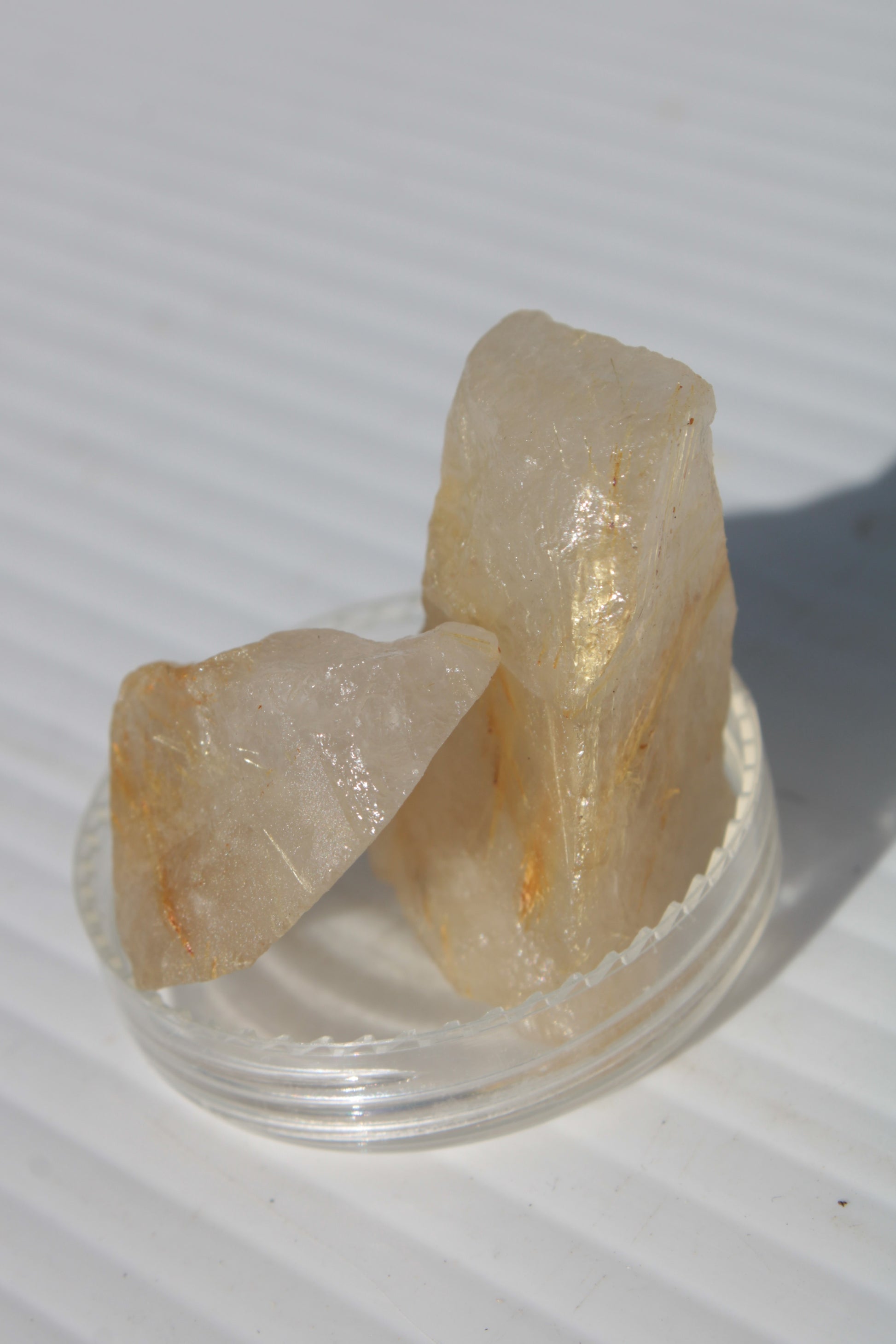 Golden Hair Rutile Quartz 2 crystals 24-30g Rocks and Things