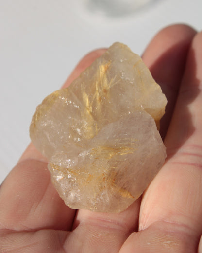 Golden Hair Rutile Quartz 2 crystals 24-30g Rocks and Things