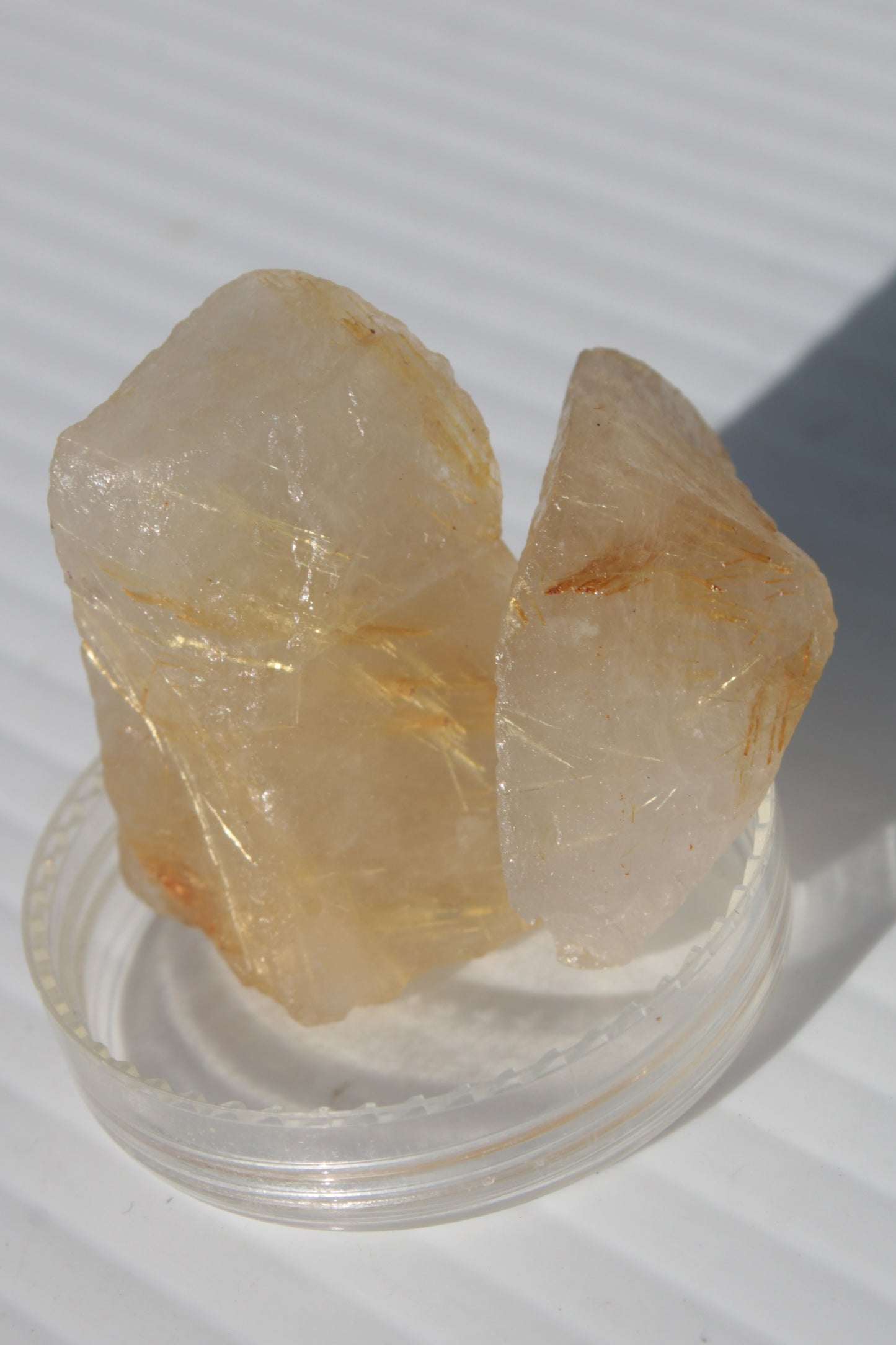 Golden Hair Rutile Quartz 2 crystals 24-30g Rocks and Things