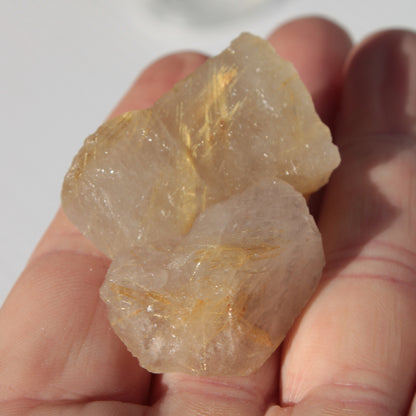 Golden Hair Rutile Quartz 2 crystals 24-30g Rocks and Things