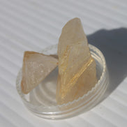 Golden Hair Rutile Quartz 2 crystals 24-30g Rocks and Things