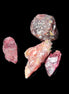 Red Garnet 3/4 crystals 9-10g Rocks and Things