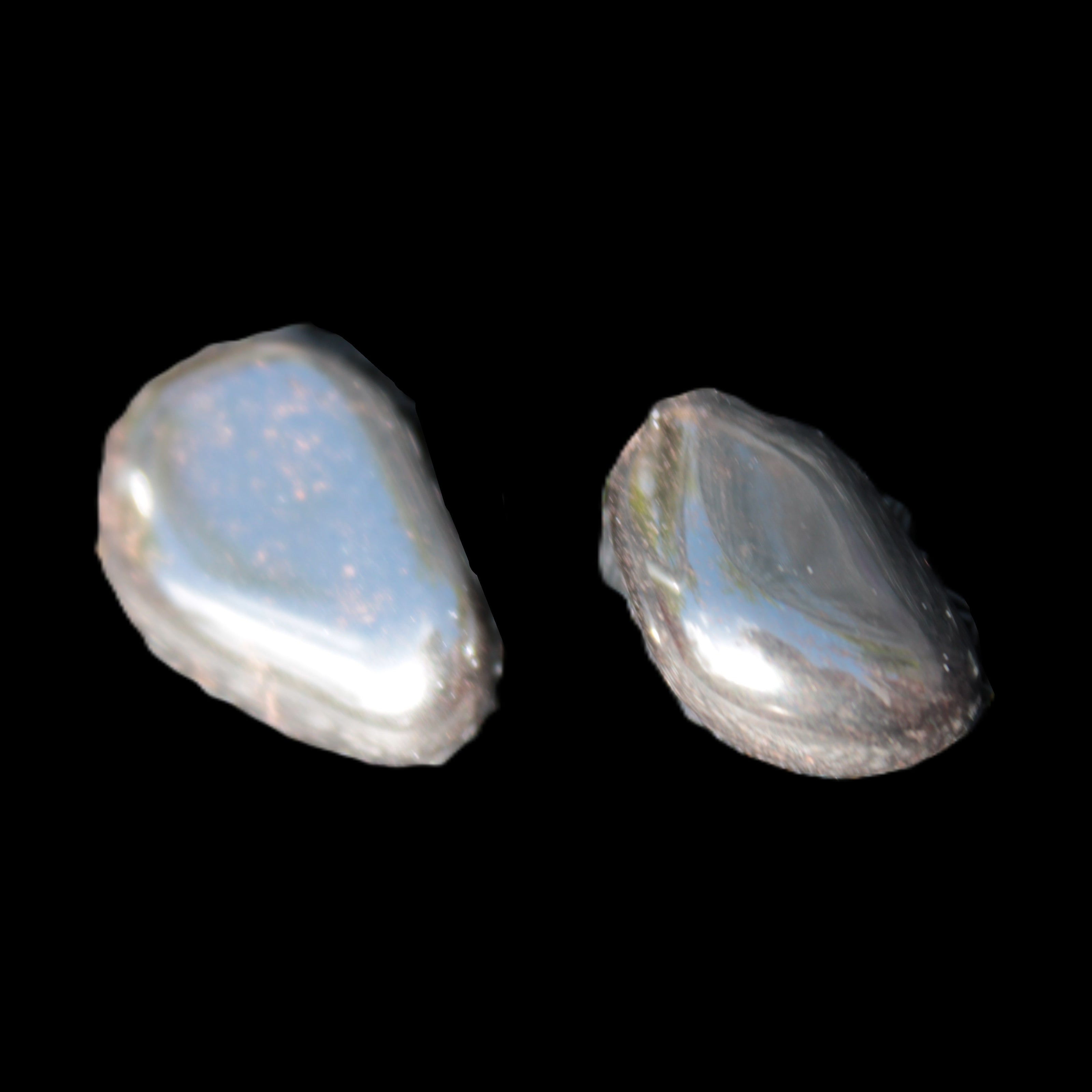 Hematite Teraherz 1-3 stones 8-12g Rocks and Things