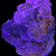 Celestite geode 623g in UV light - Rocks and Things Store