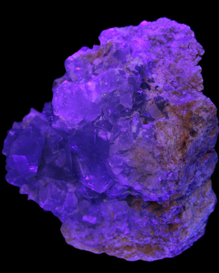 Celestite geode 623g in UV light - Rocks and Things Store