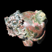 Dragons Blood Stone Turtle Dragon 359g in sunlight - Rocks and Things Store