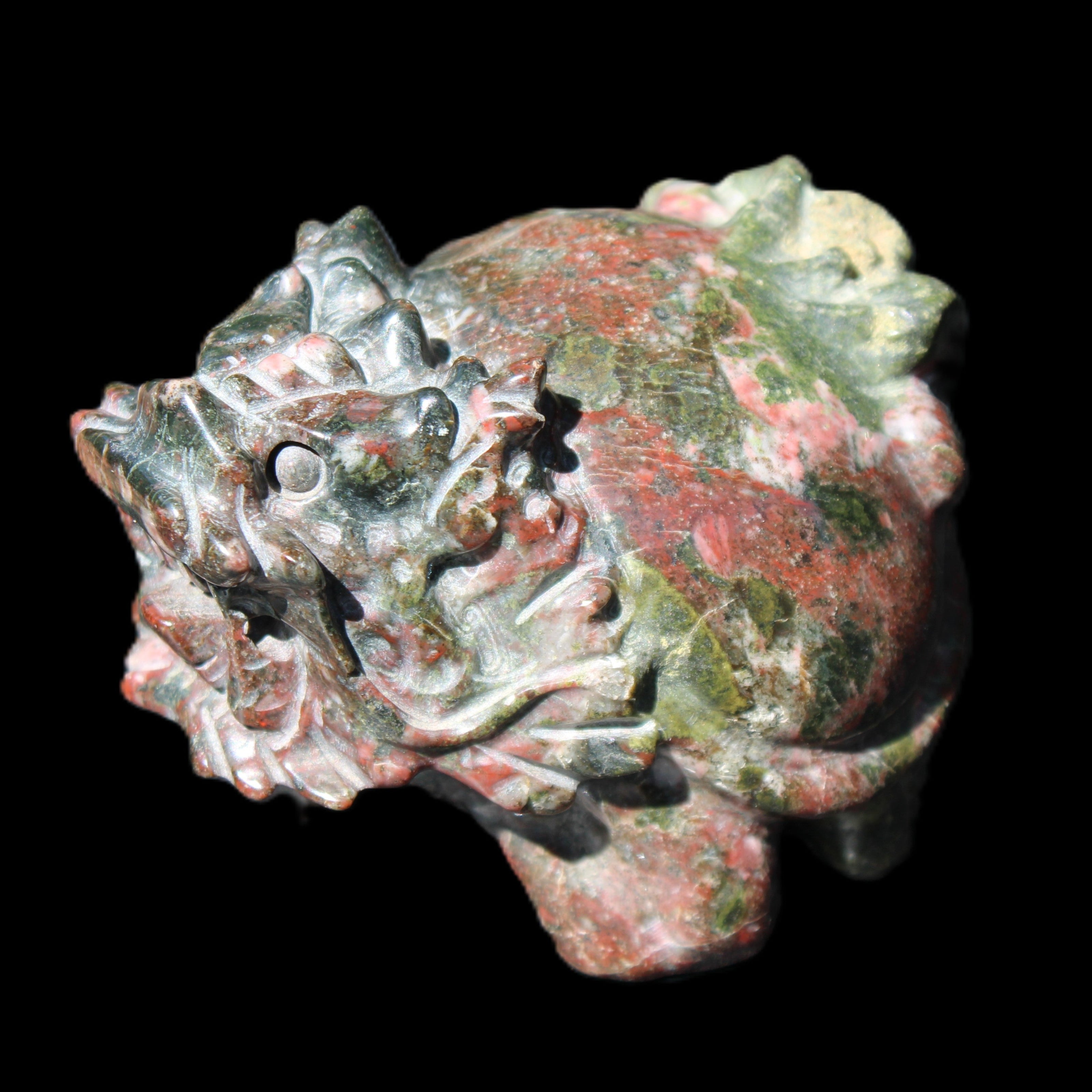 Dragons Blood Stone Turtle Dragon 359g in sunlight - Rocks and Things Store