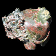 Dragons Blood Stone Turtle Dragon 359g in sunlight - Rocks and Things Store