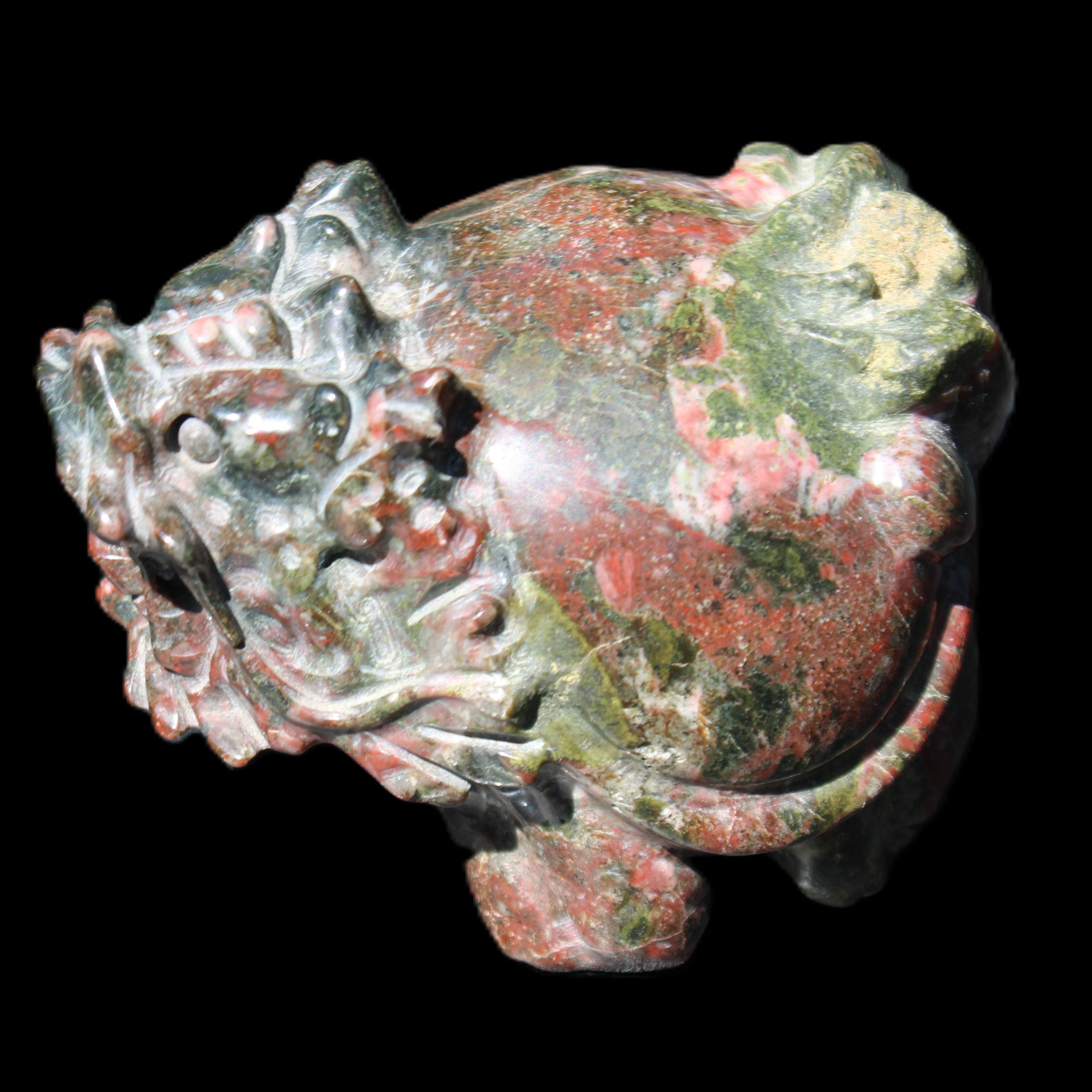 Dragons Blood Stone Turtle Dragon 359g in sunlight - Rocks and Things Store