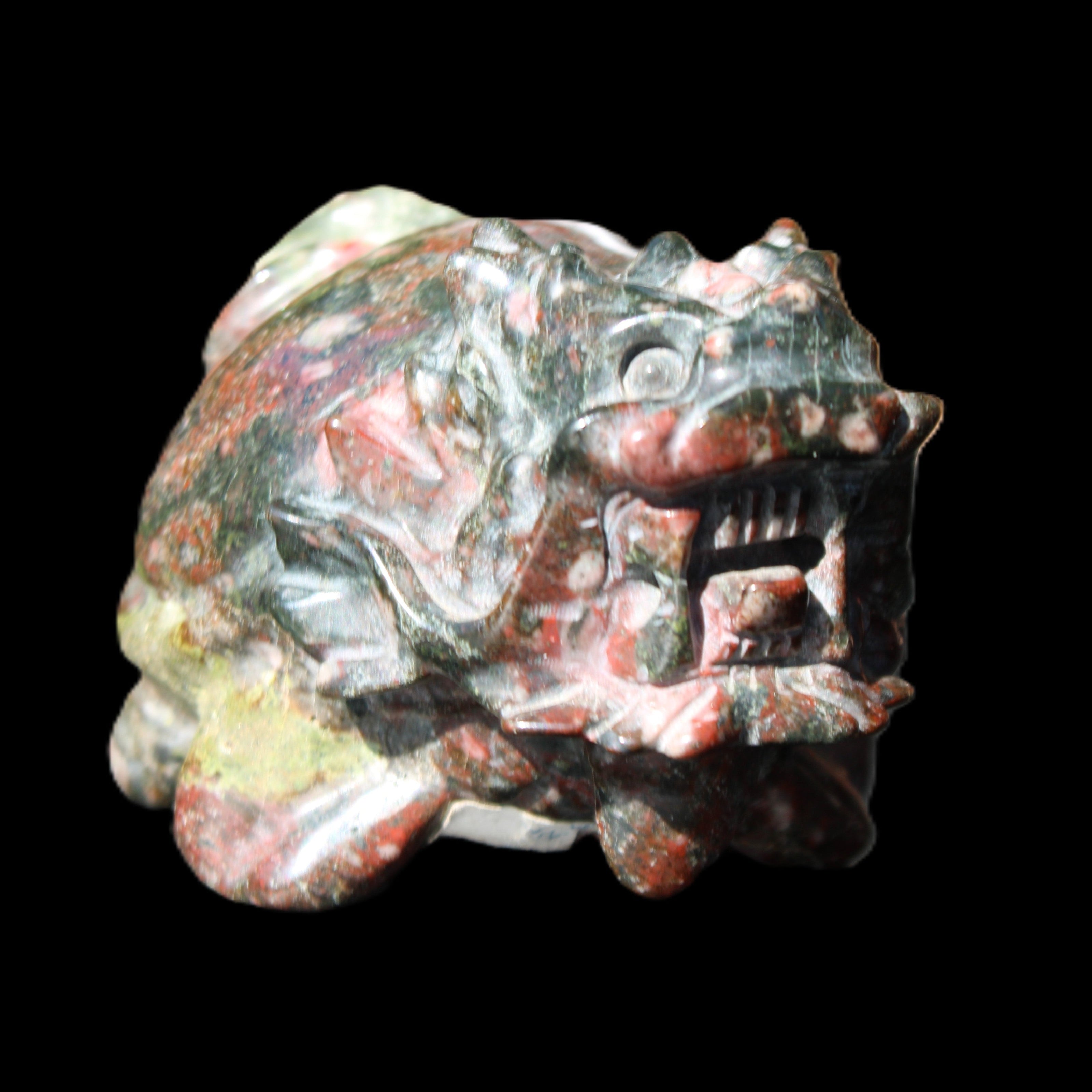 Dragons Blood Stone Turtle Dragon 359g in sunlight - Rocks and Things Store