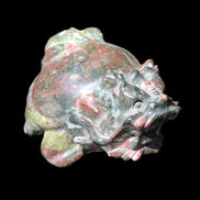 Dragons Blood Stone Turtle Dragon 359g in sunlight - Rocks and Things Store