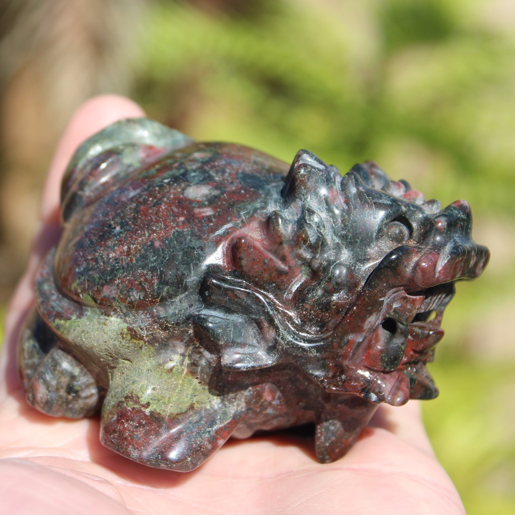 Dragons Blood Stone Turtle Dragon 359g Rocks and Things