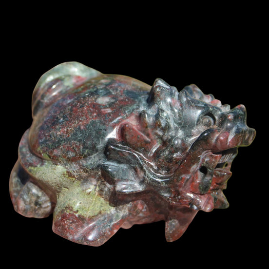 Dragons Blood Stone Turtle Dragon 359g in sunlight - Rocks and Things Store
