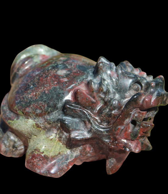 Dragons Blood Stone Turtle Dragon 359g in sunlight - Rocks and Things Store
