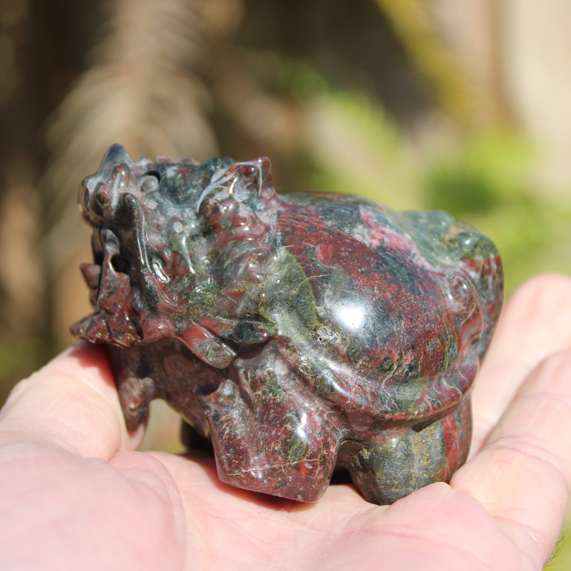 Dragons Blood Stone Turtle Dragon 359g Rocks and Things