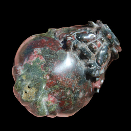 Dragons Blood Stone Turtle Dragon 359g in sunlight - Rocks and Things Stores