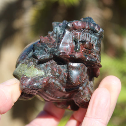 Dragons Blood Stone Turtle Dragon 359g Rocks and Things