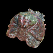 Dragons Blood Stone Turtle Dragon 359g in sunlight - Rocks and Things Store