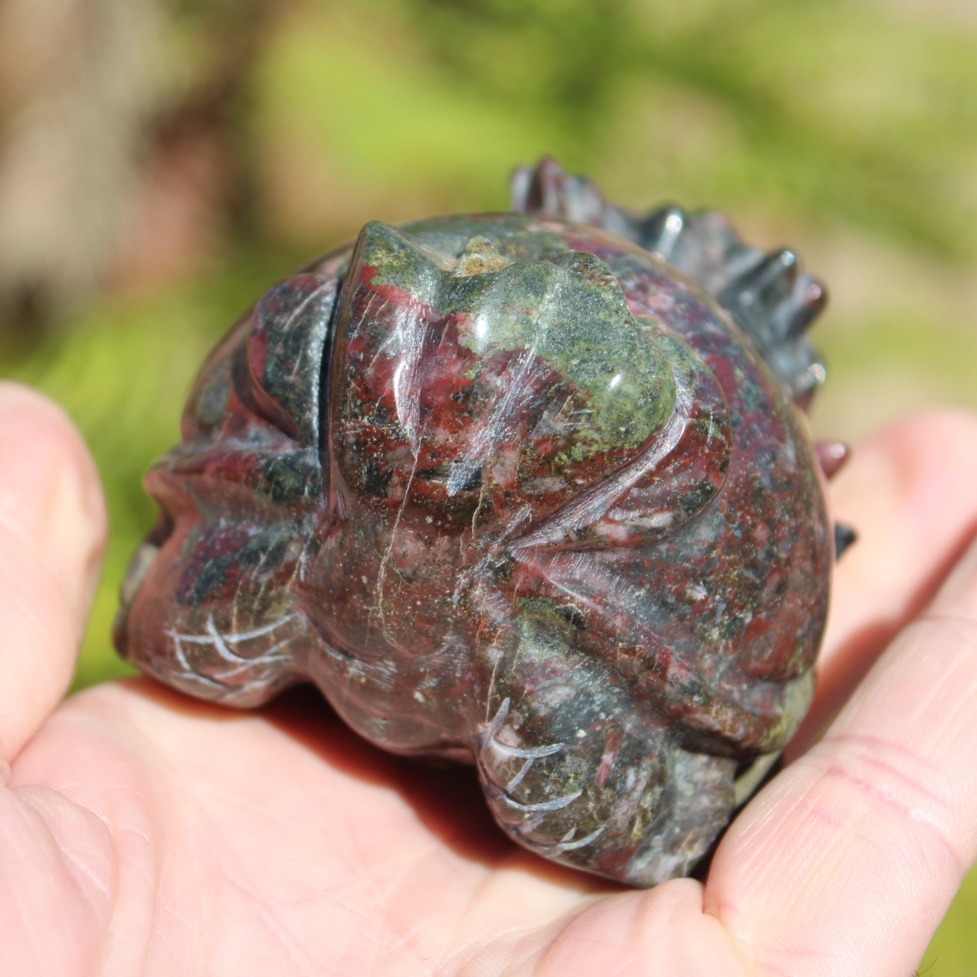 Dragons Blood Stone Turtle Dragon 359g Rocks and Things