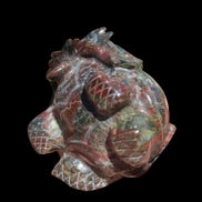 Dragons Blood Stone Turtle Dragon 359g in sunlight - Rocks and Things Store