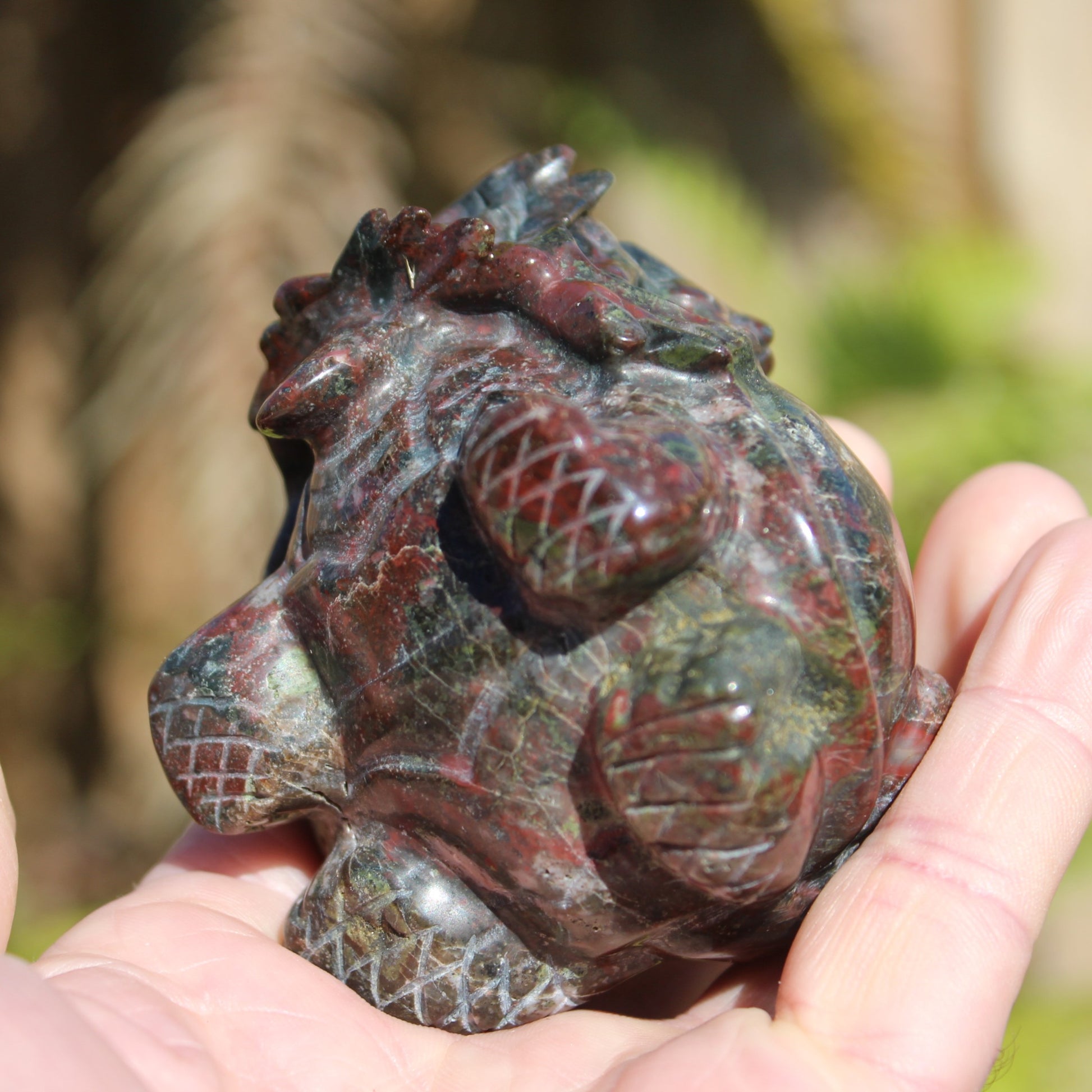 Dragons Blood Stone Turtle Dragon 359g Rocks and Things