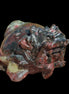 Dragons Blood Stone Turtle Dragon 359g in sunlight - Rocks and Things Store