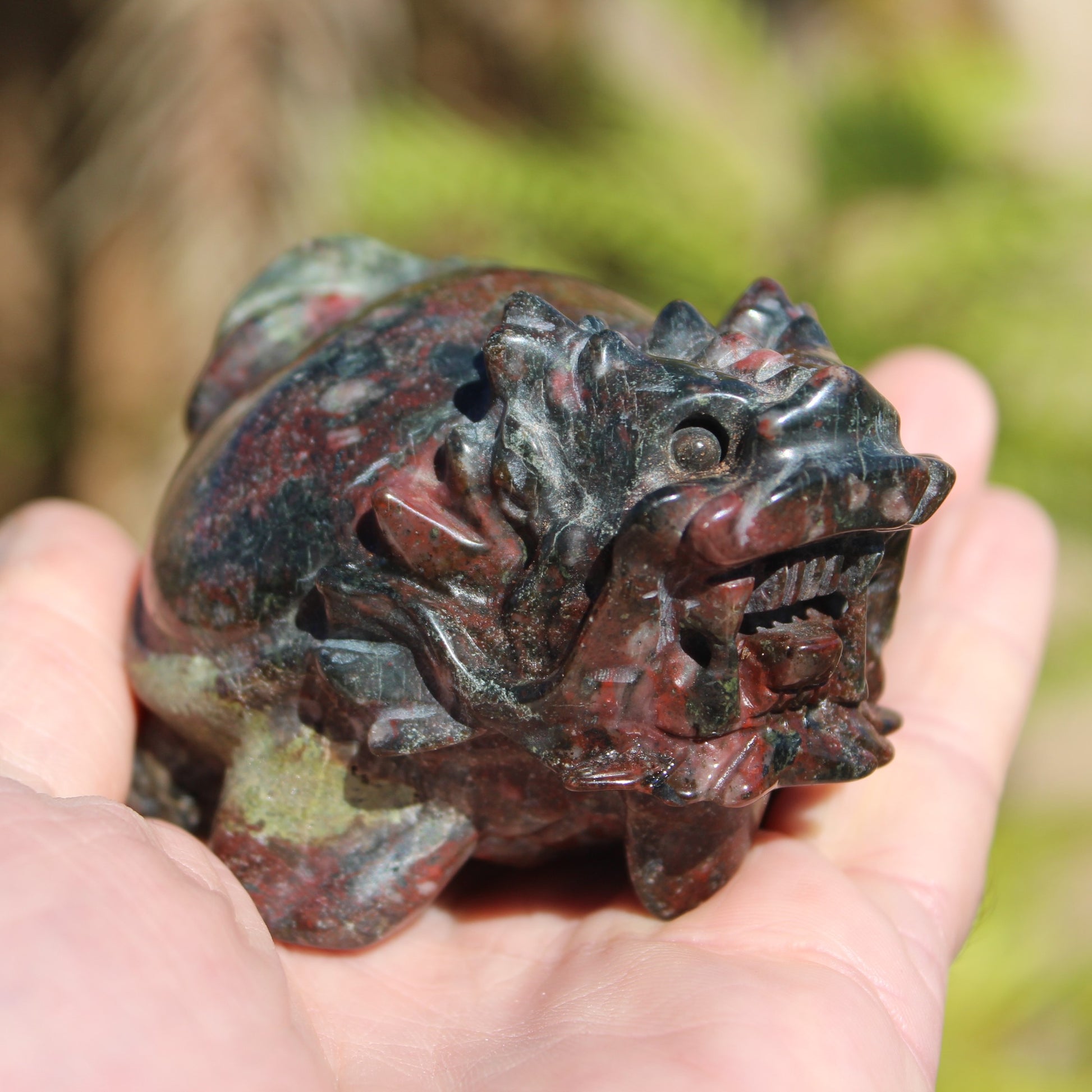 Dragons Blood Stone Turtle Dragon 359g Rocks and Things