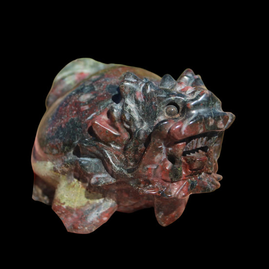 Dragons Blood Stone Turtle Dragon 359g in sunlight - Rocks and Things Store