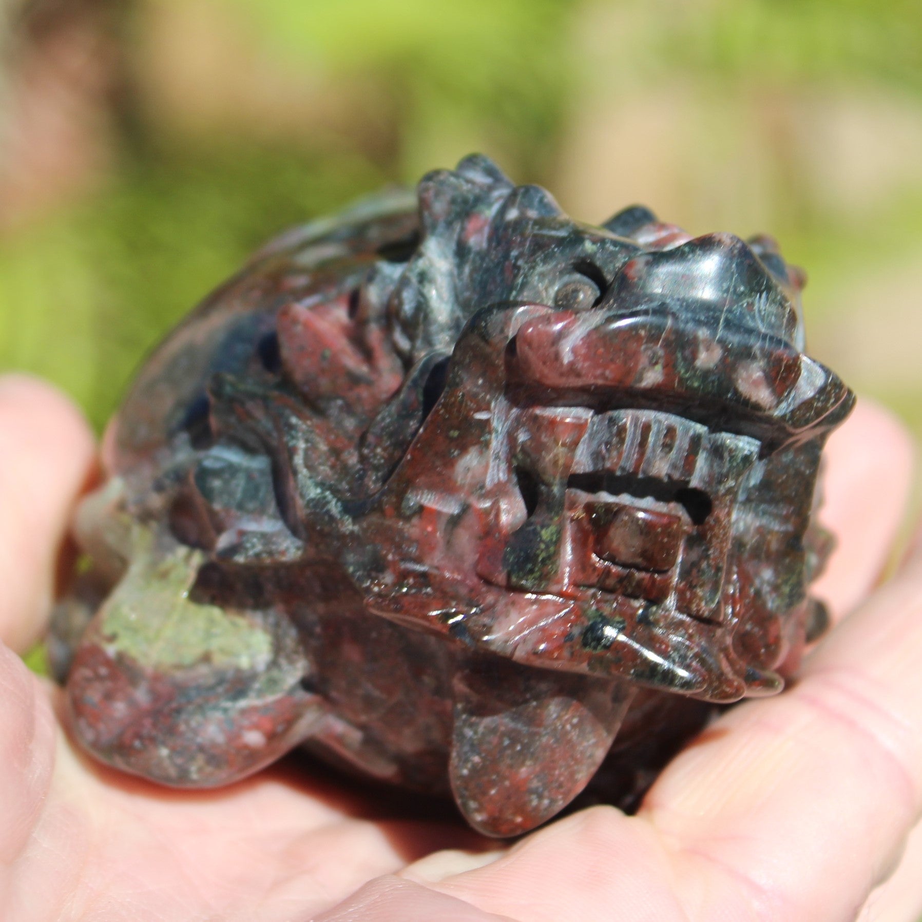 Dragons Blood Stone Turtle Dragon 359g Rocks and Things