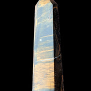 Golden with Blue Tigers Eye obelisk 290g