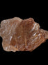 Golden Hair Rutile Quartz crystal 26g in sunlight - Rocks and Things Store