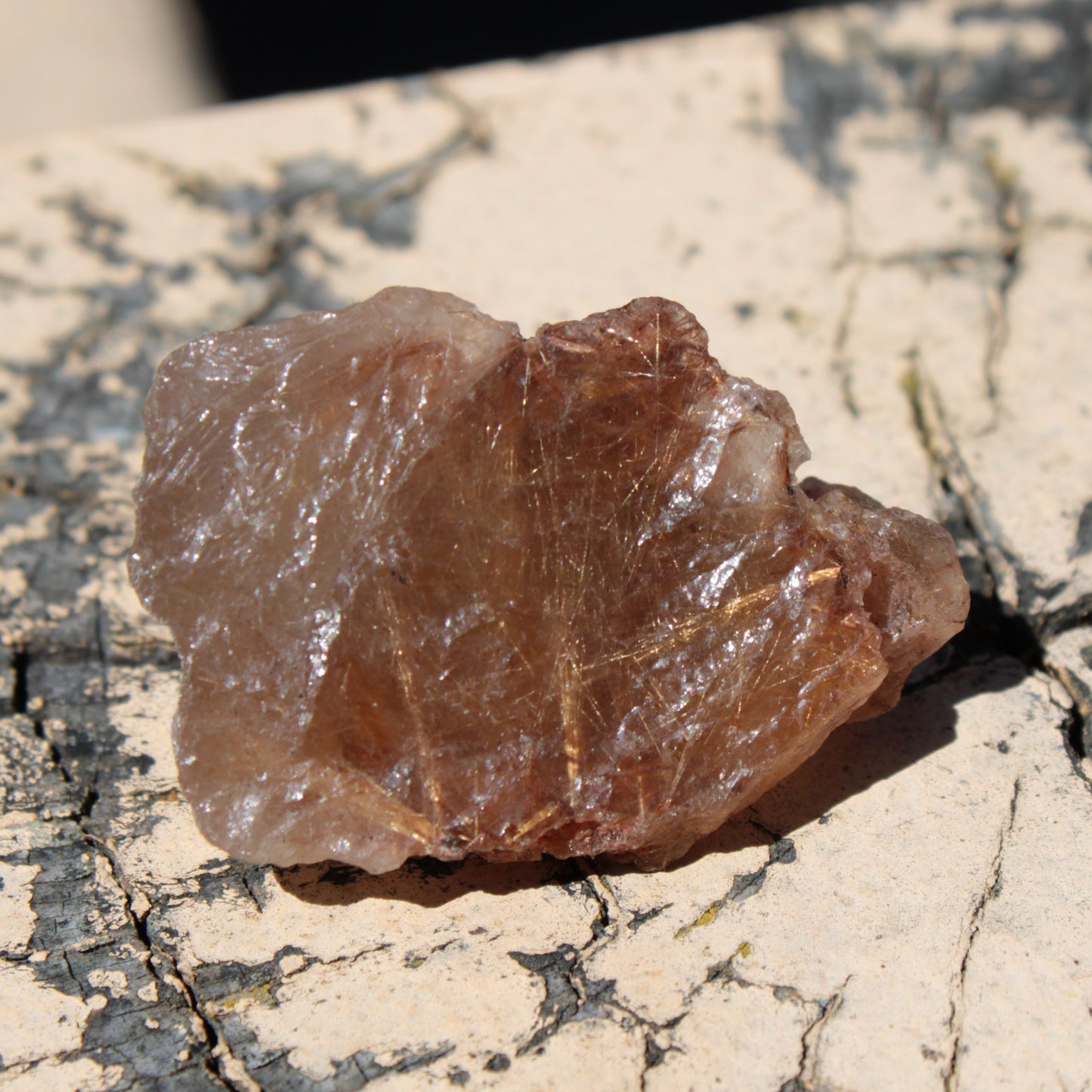 Golden Hair Rutile Quartz crystal 26g Rocks and Things