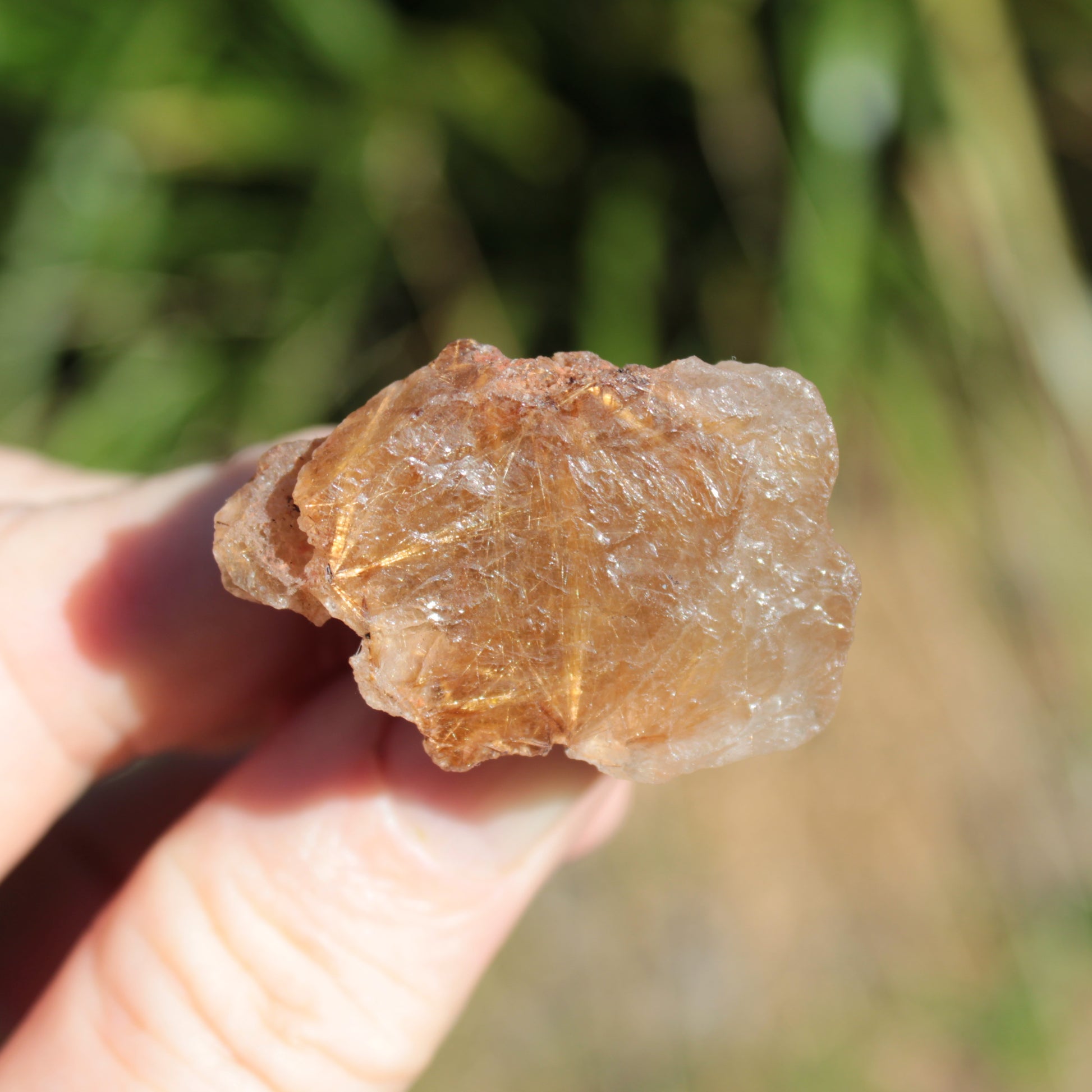 Golden Hair Rutile Quartz crystal 26g Rocks and Things