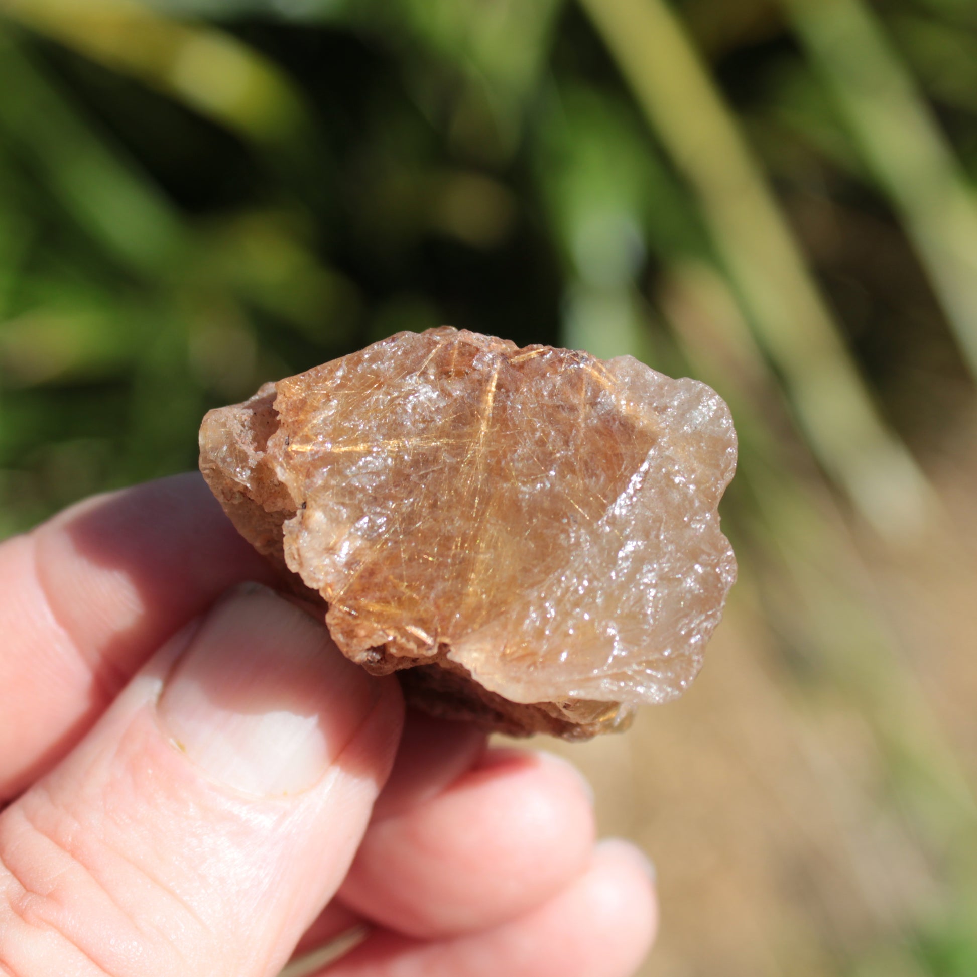 Golden Hair Rutile Quartz crystal 26g Rocks and Things