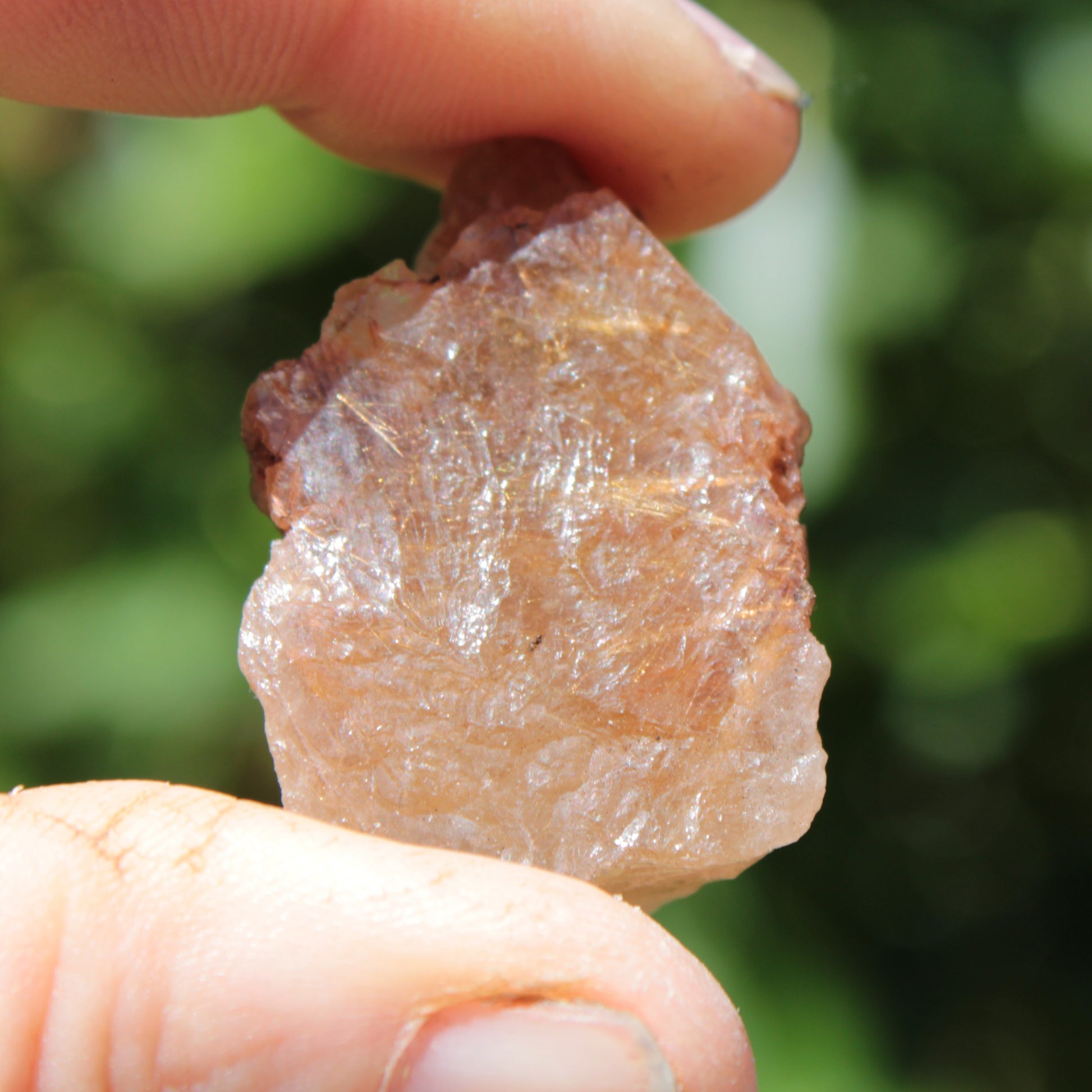 Golden Hair Rutile Quartz crystal 26g Rocks and Things