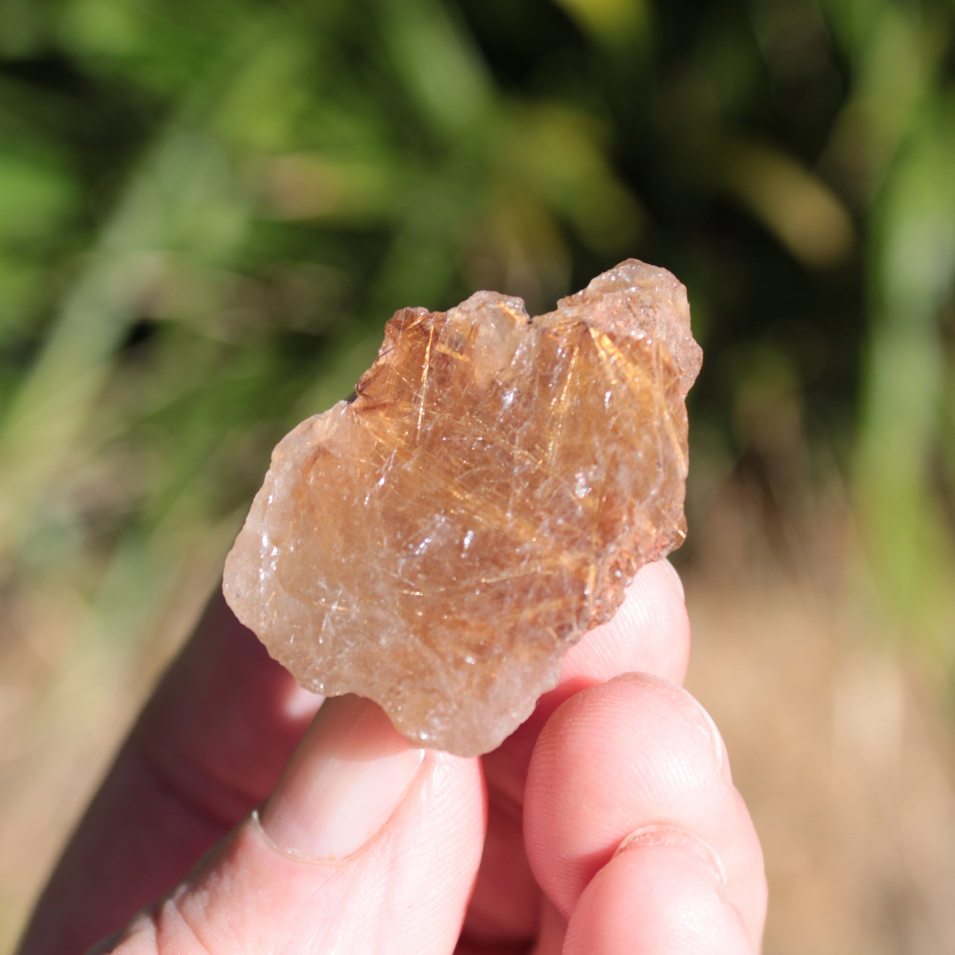 Golden Hair Rutile Quartz crystal 26g Rocks and Things