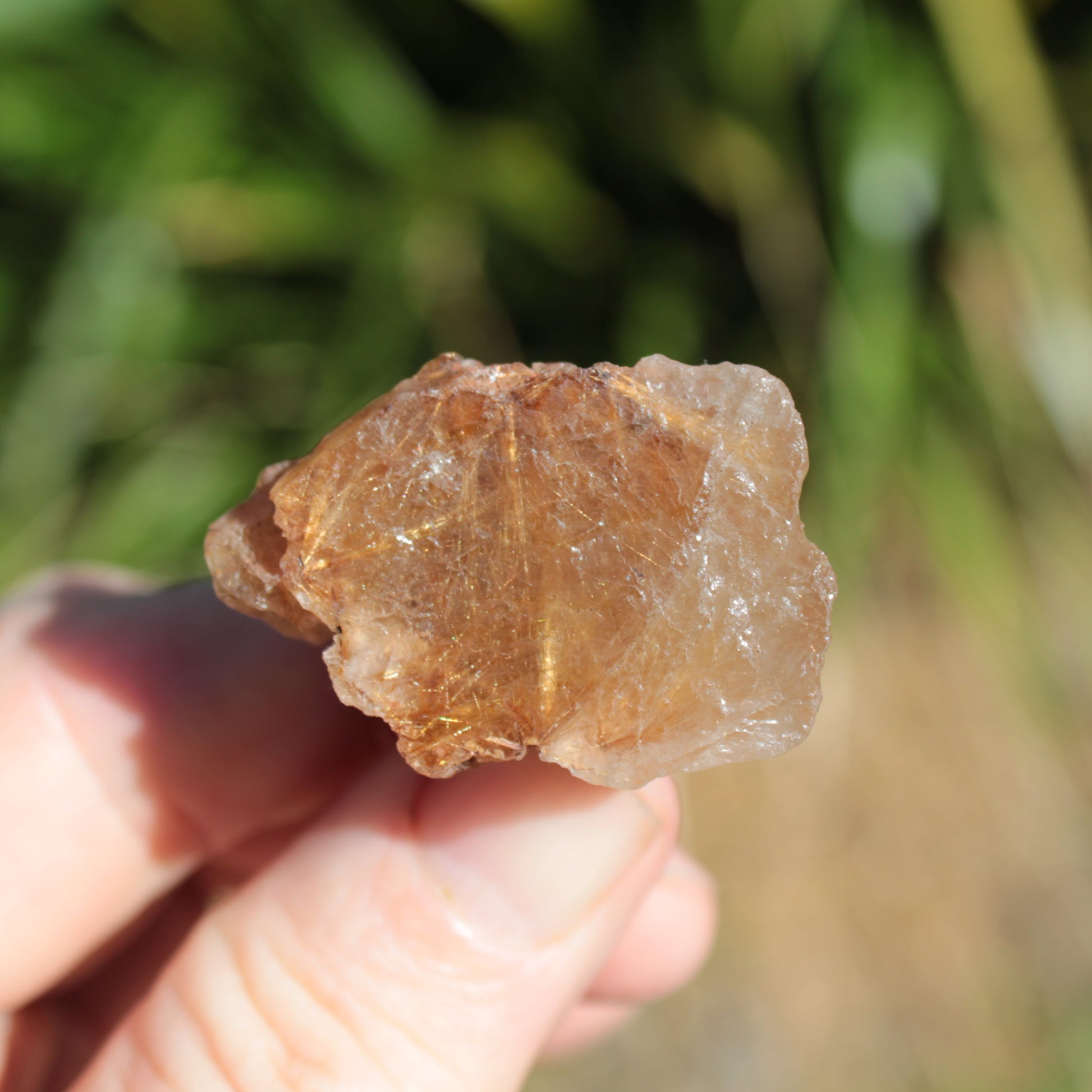 Golden Hair Rutile Quartz crystal 26g Rocks and Things