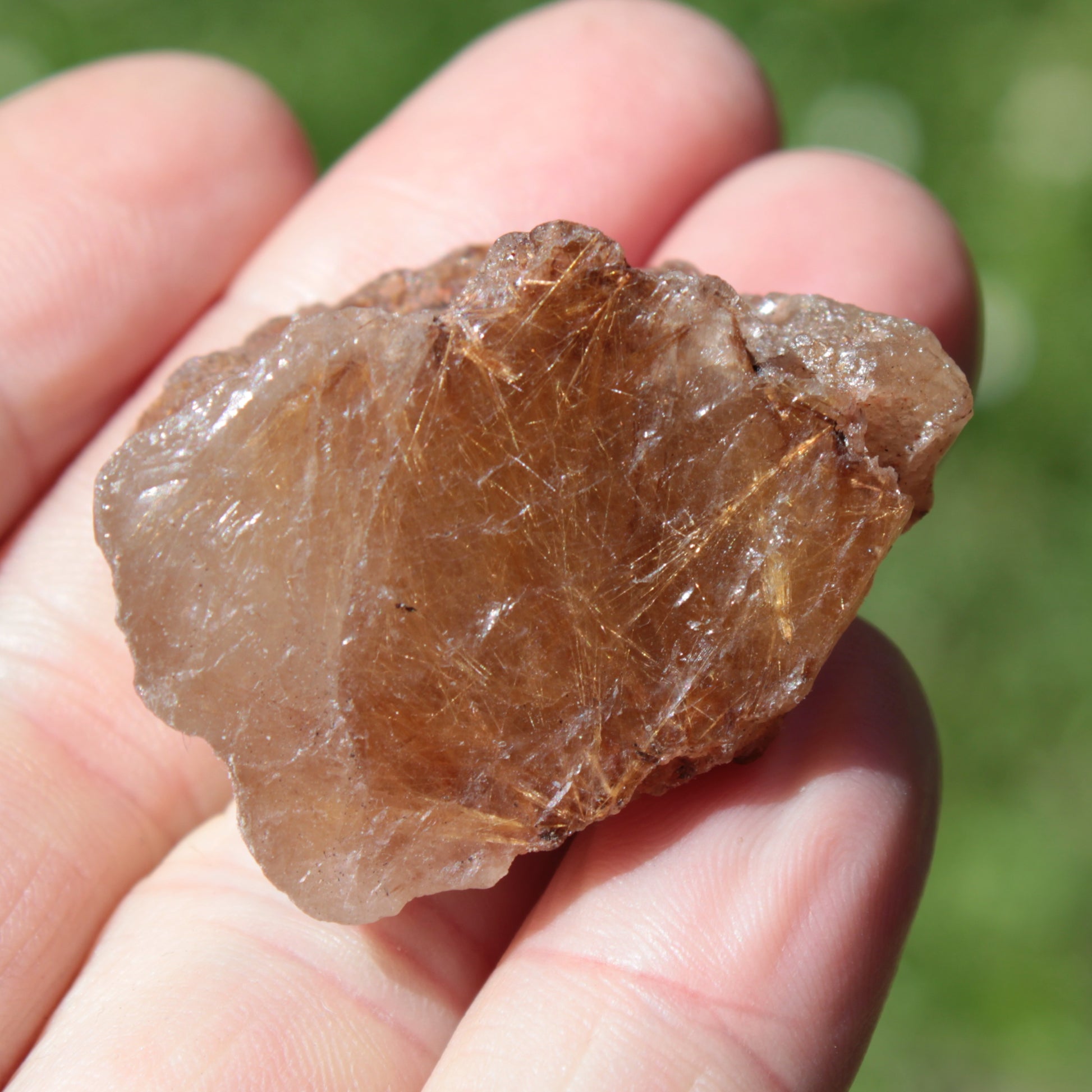 Golden Hair Rutile Quartz crystal 26g Rocks and Things