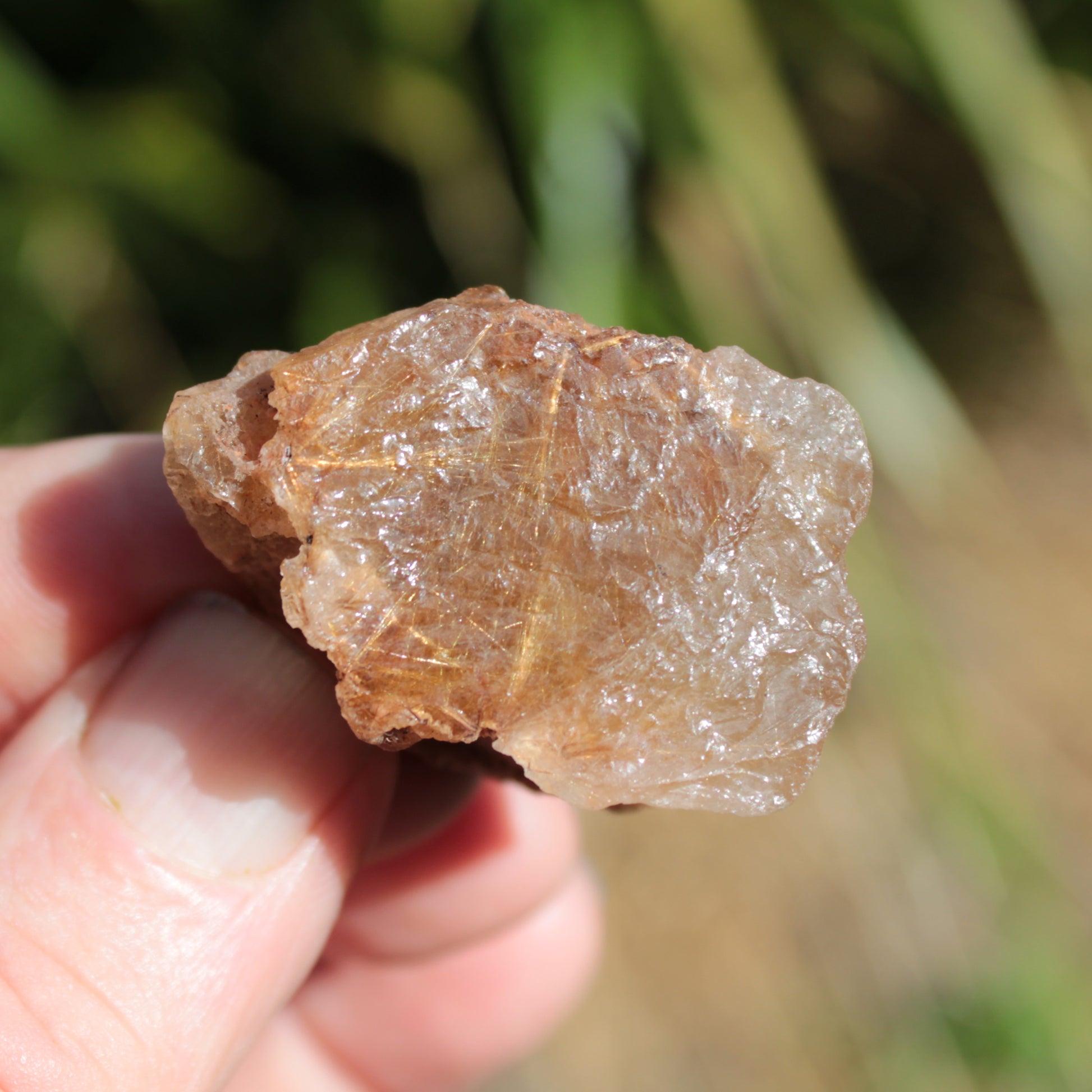 Golden Hair Rutile Quartz crystal 26g Rocks and Things