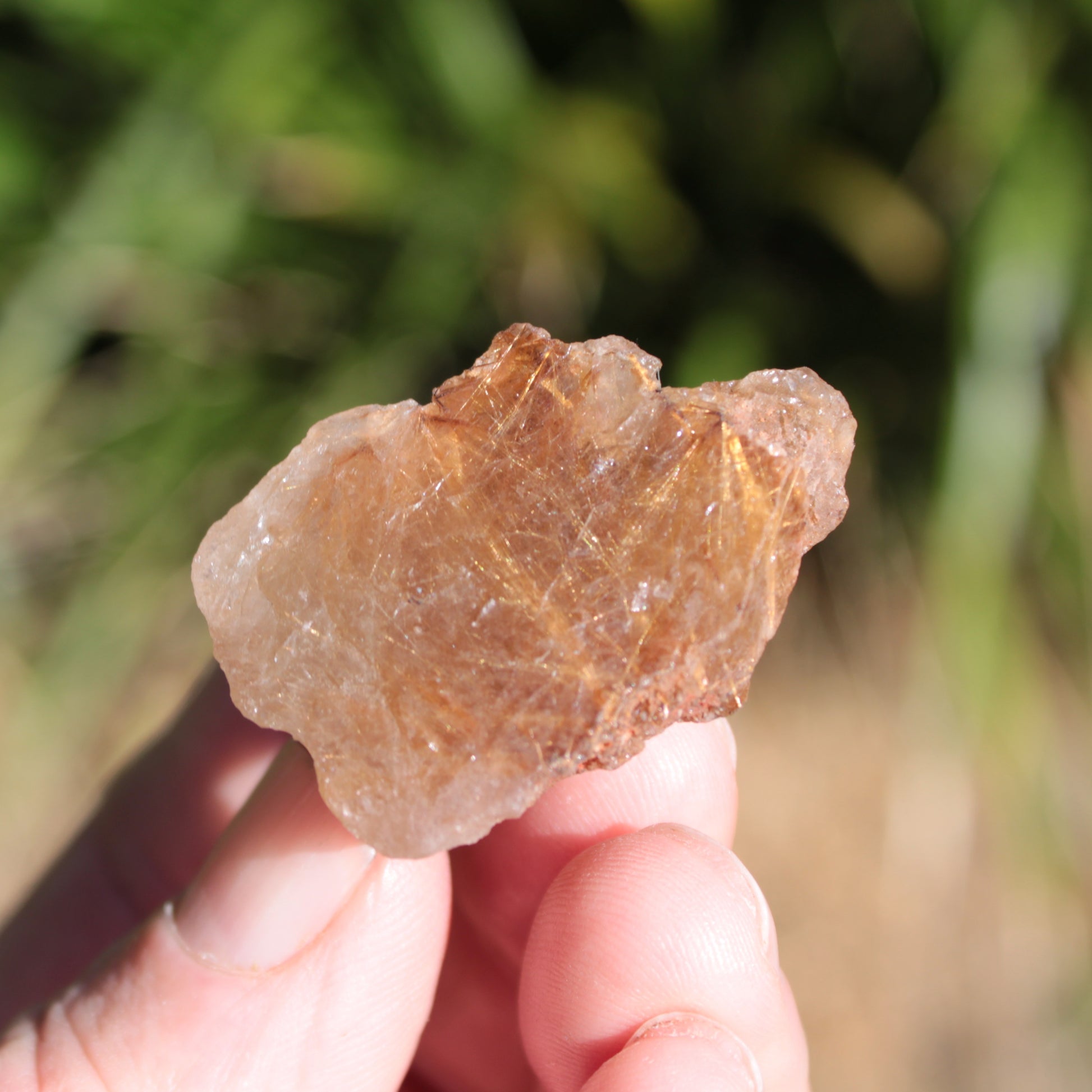 Golden Hair Rutile Quartz crystal 26g Rocks and Things