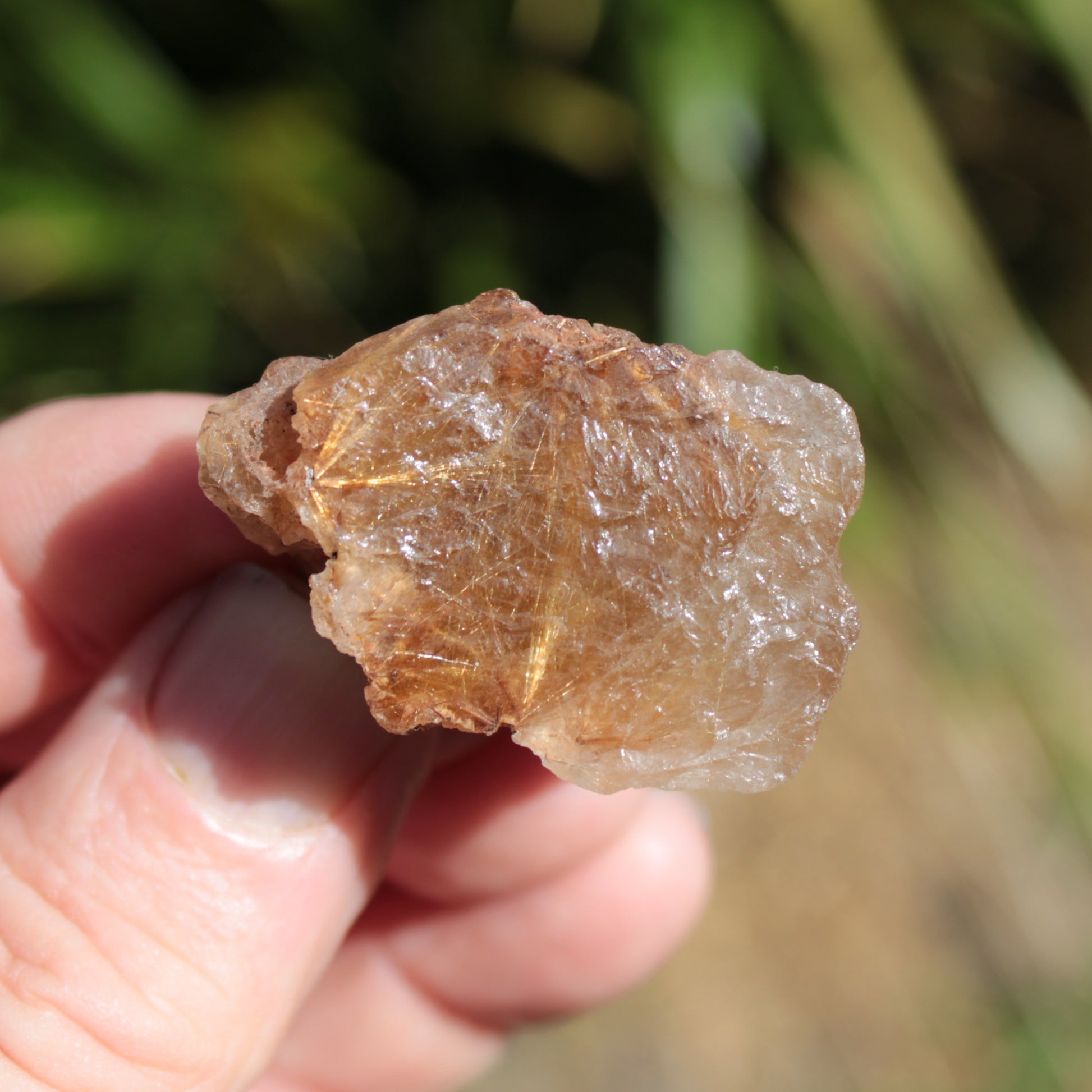 Golden Hair Rutile Quartz crystal 26g Rocks and Things