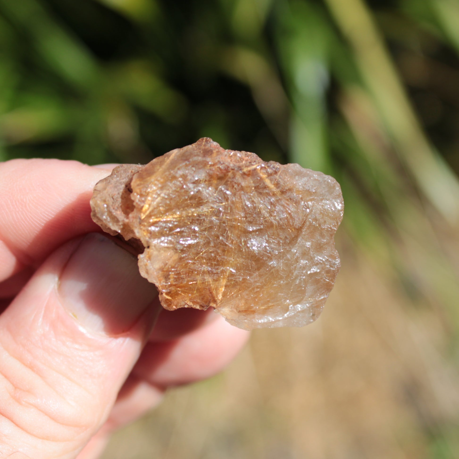 Golden Hair Rutile Quartz crystal 26g Rocks and Things