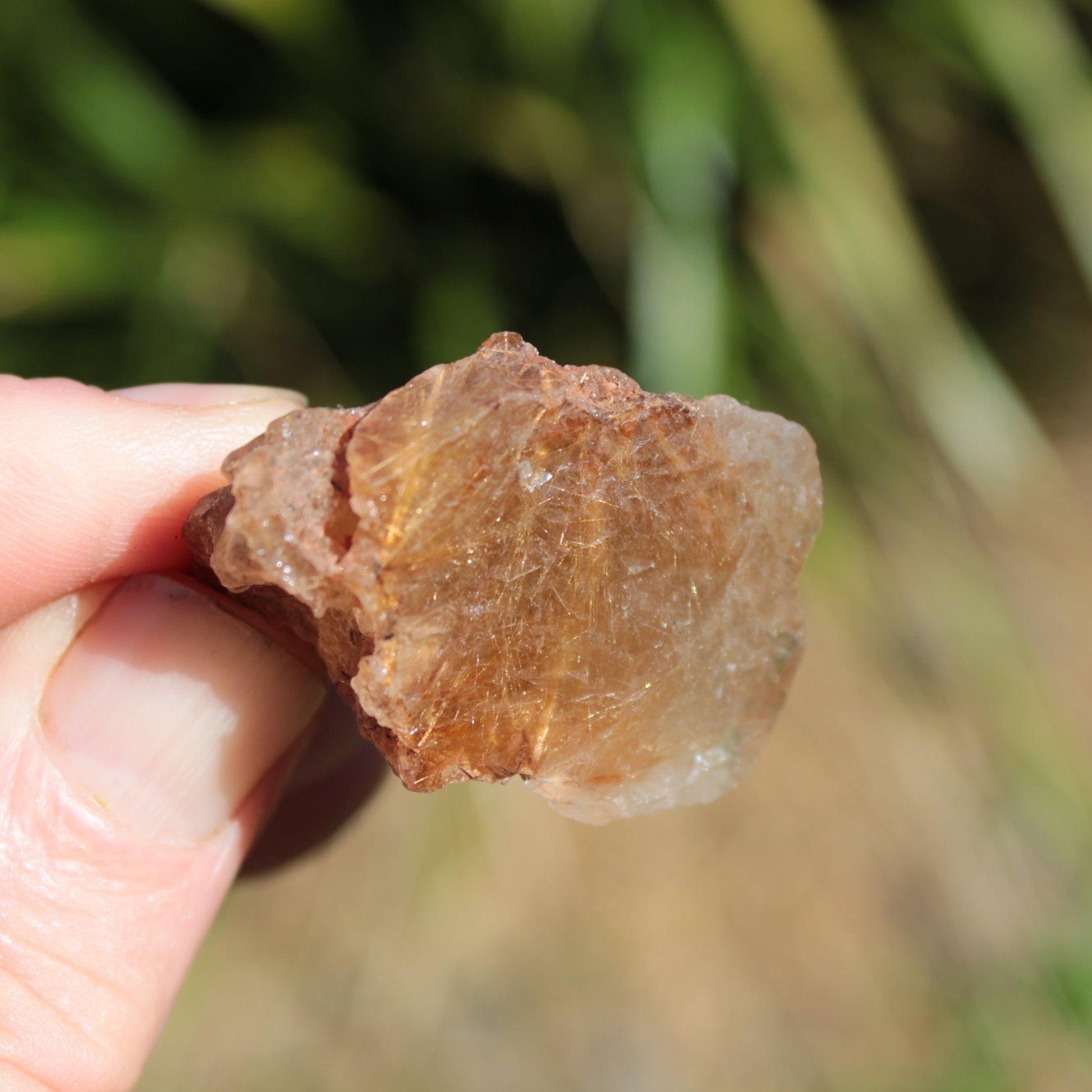 Golden Hair Rutile Quartz crystal 26g Rocks and Things