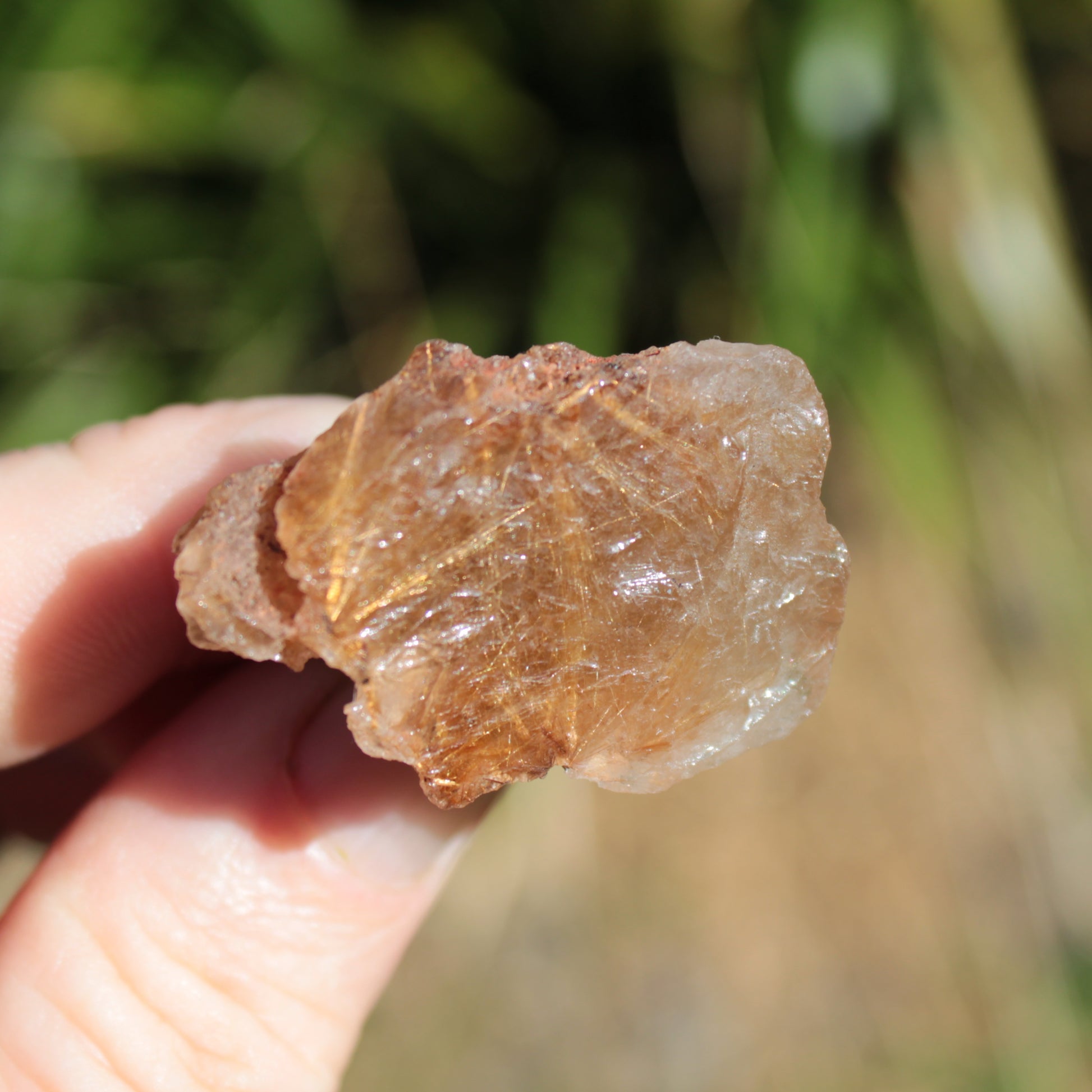 Golden Hair Rutile Quartz crystal 26g Rocks and Things