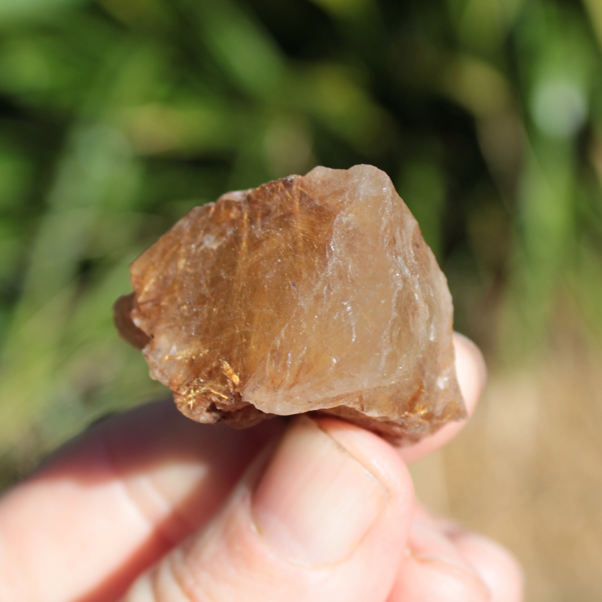 Golden Hair Rutile Quartz crystal 26g Rocks and Things