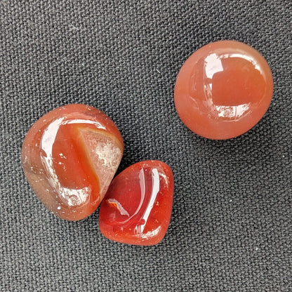 Red Agate 3/4 tumbled tiny stones 7-10g Rocks and Things