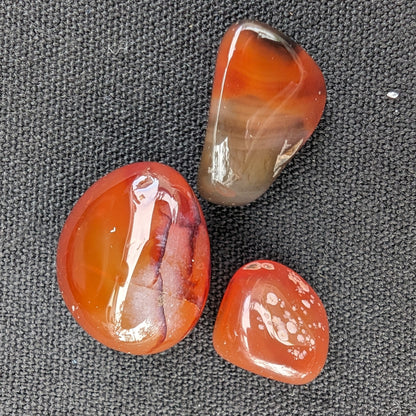 Red Agate 3/4 tumbled tiny stones 7-10g Rocks and Things