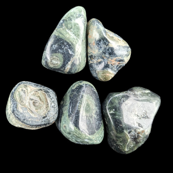 Kambaba Jasper Stromatolite 4/5 stones 8-10g in sunlight - Rocks and Things Store