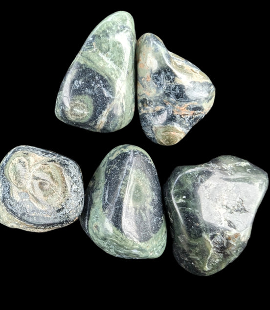 Kambaba Jasper Stromatolite 4/5 stones 8-10g in sunlight - Rocks and Things Store